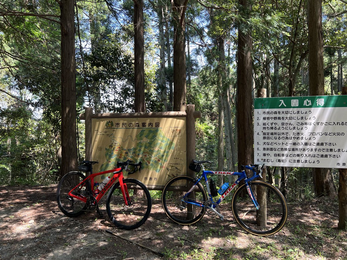 hitsyoukai's tweet photo. 房総林道120km 884m⤴︎
遠征予定が中止となりいつもの林道へ。
40代最新バイクと60代骨董バイクで
木漏れ日の中を走る至福の時間は、
最高に気持ち良かった。 https://t.co/SbEQirSqOe