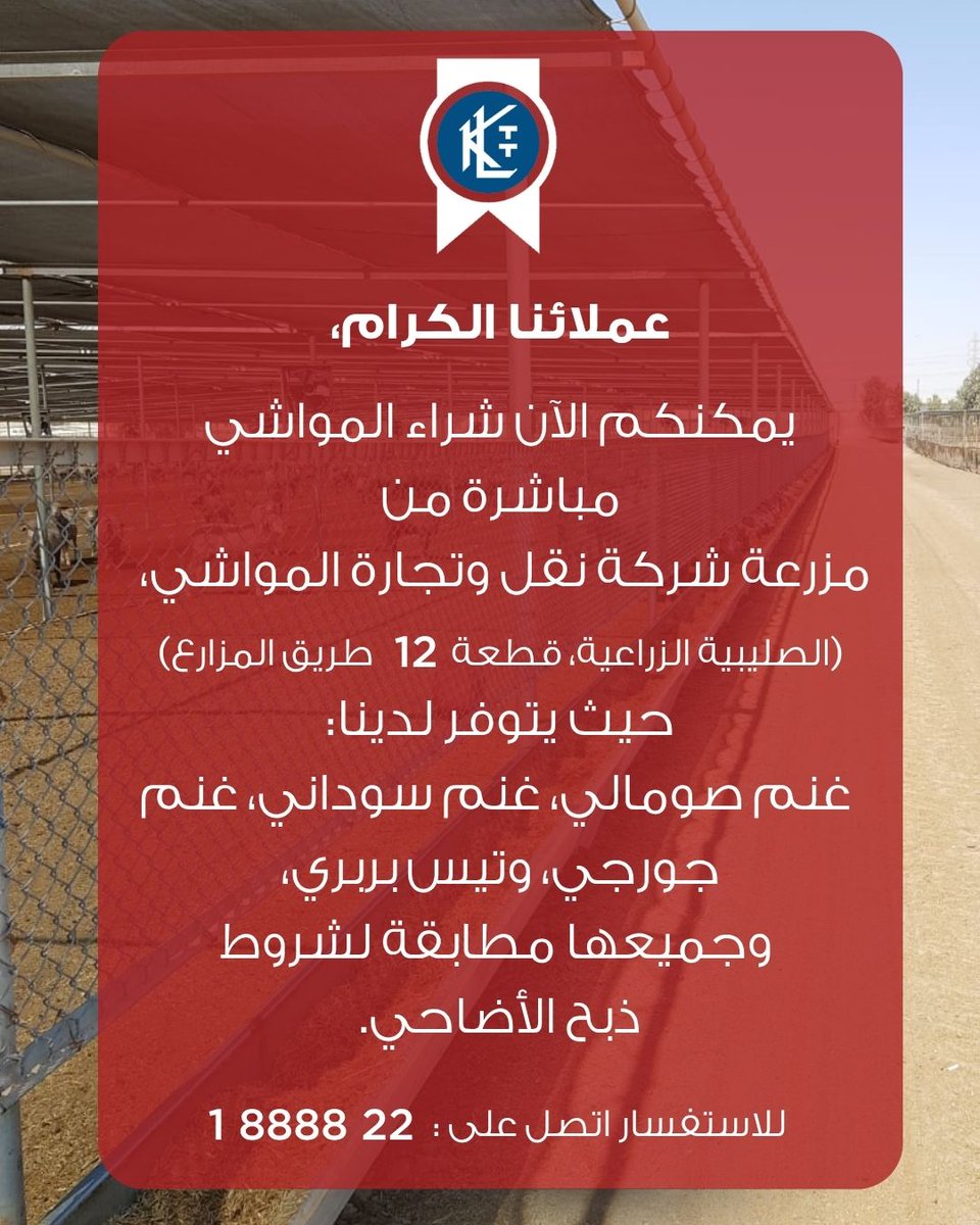 AlMawashi tweet media
