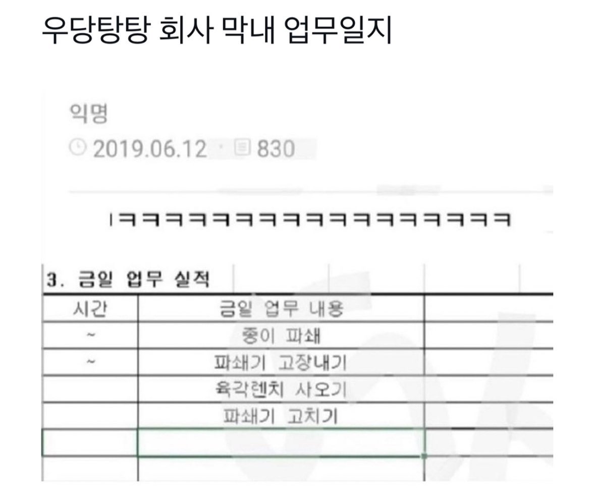 도란 tweet media