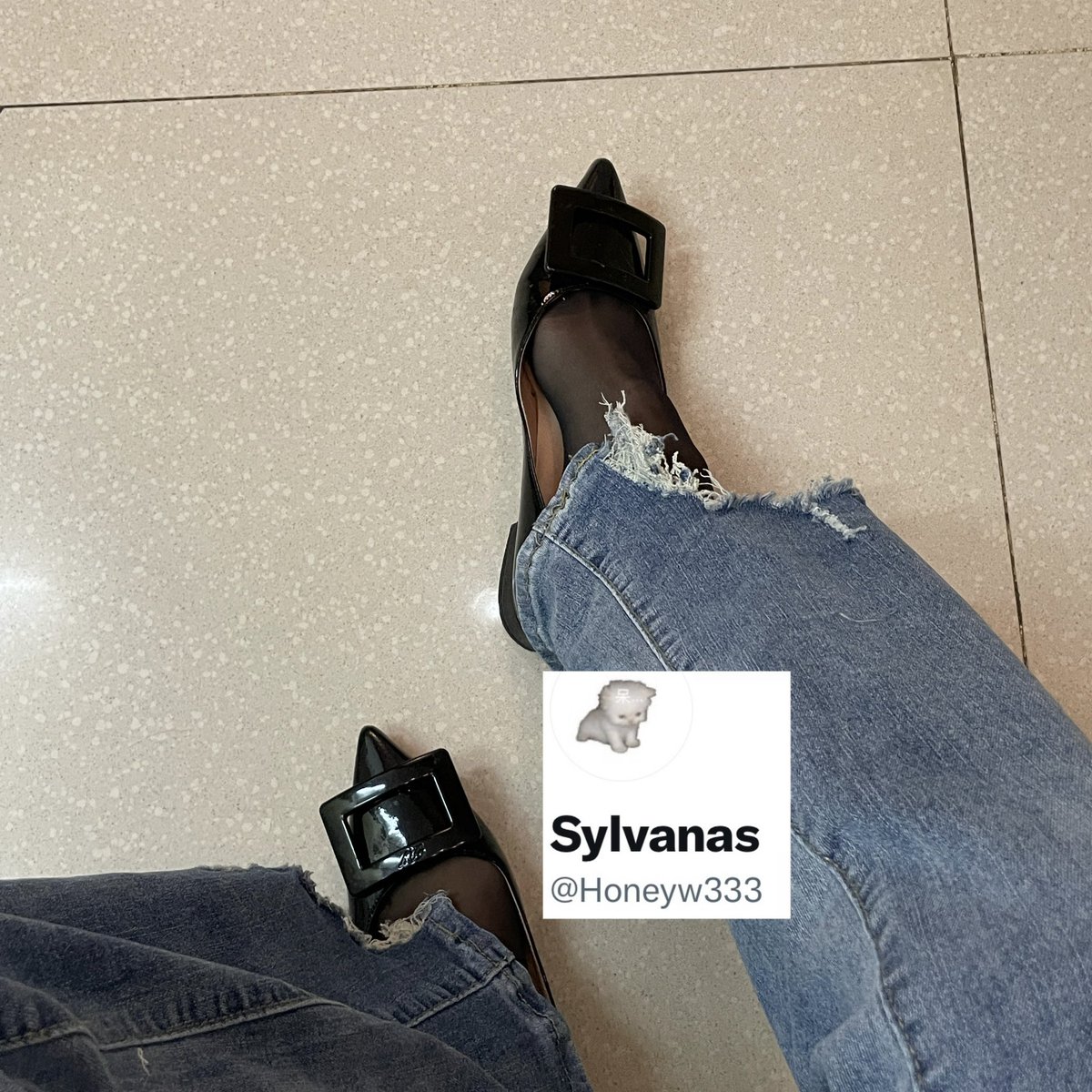 Syl tweet media