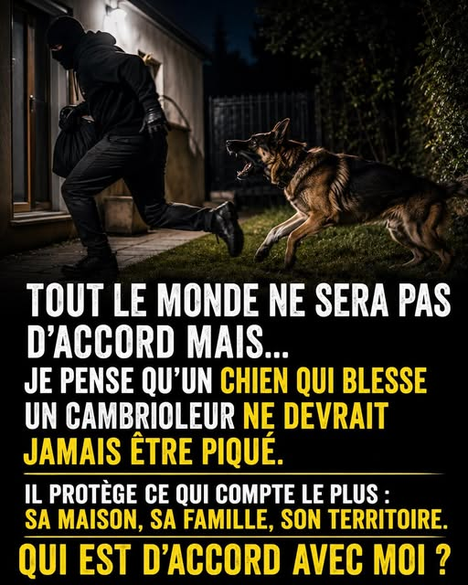 PHILSudouest tweet media