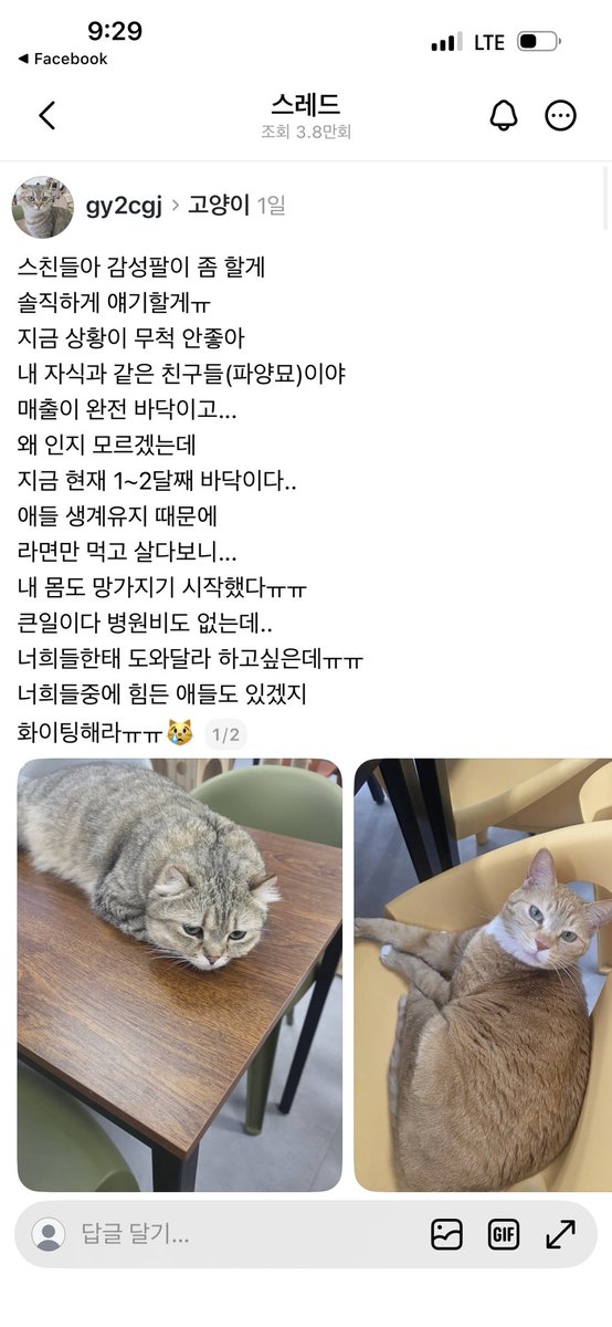 🕯️🕯️헌정수호형 SJ🕯️🕯️🕯️ tweet media