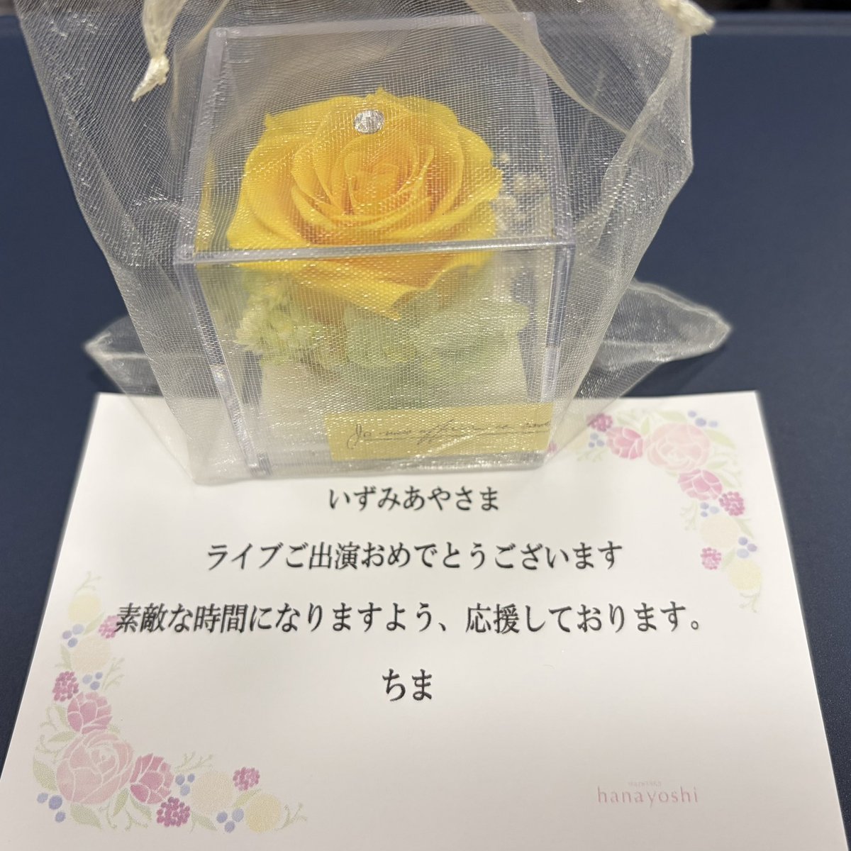 いずみあや tweet media