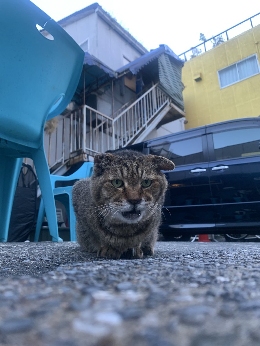 きく tweet media