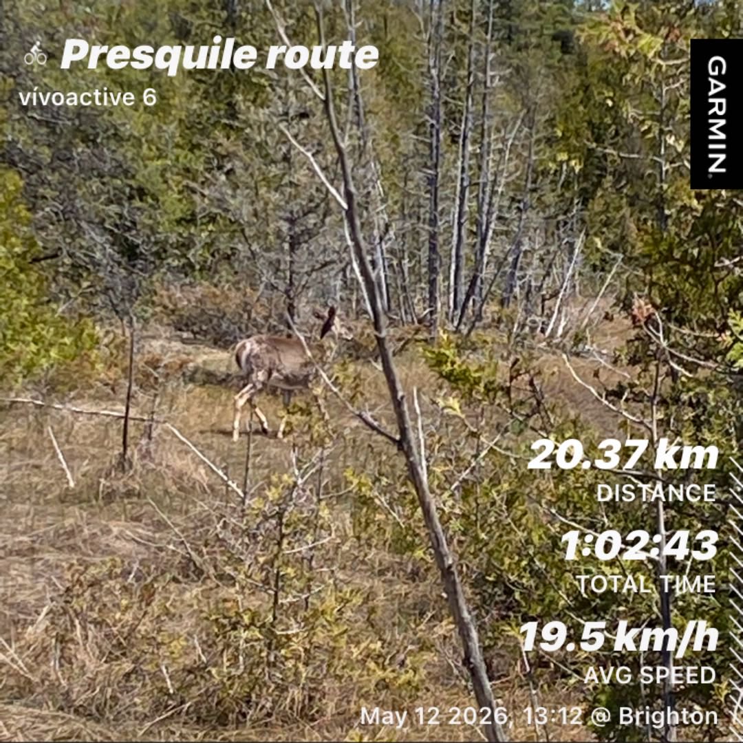 Gizerhoff's tweet photo. Ride #10, 20K, 8C with sw winds of 20KPH. https://t.co/XGRF1BzcY5