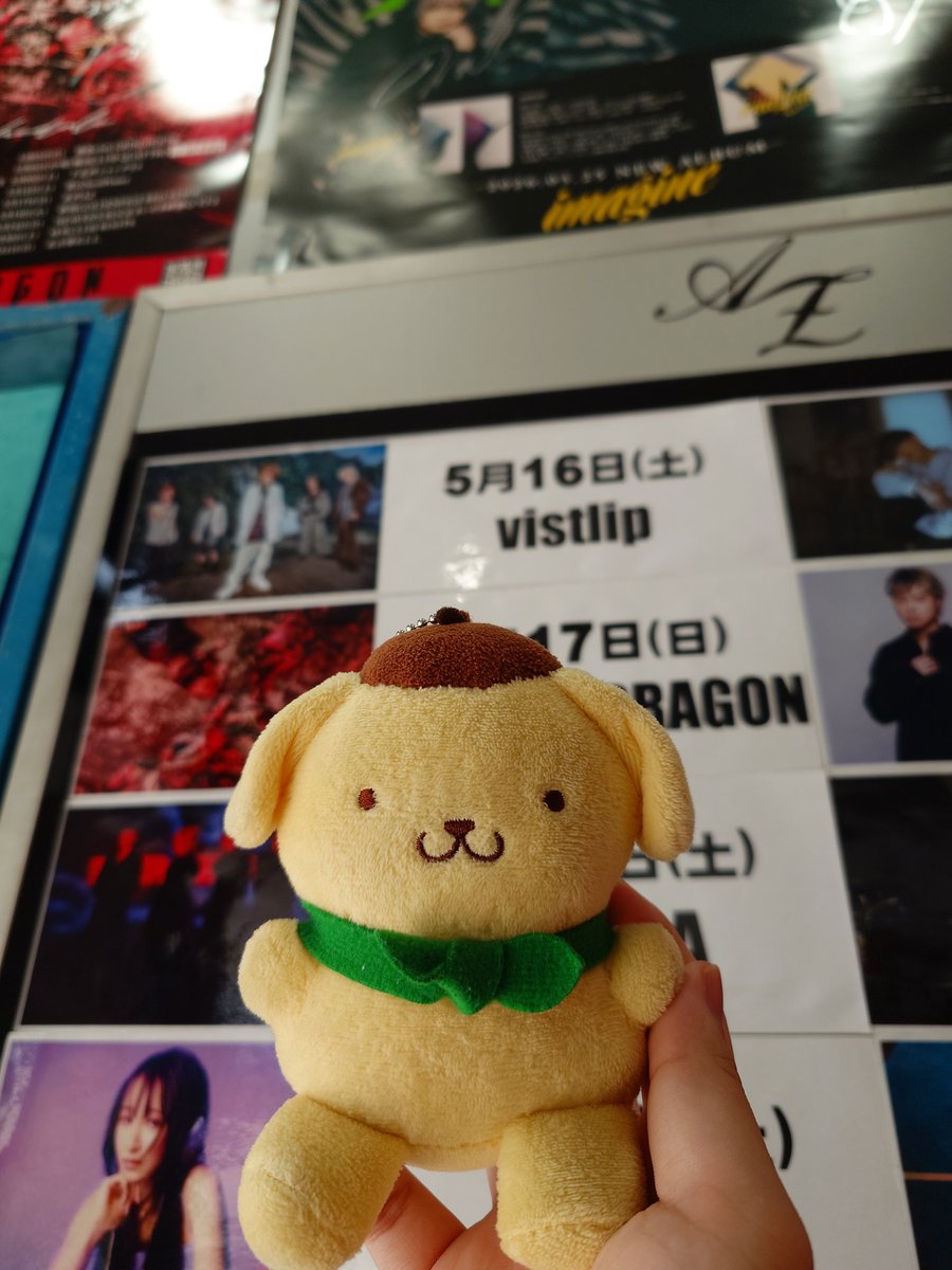 星奈ルミ vistlip垢 tweet media