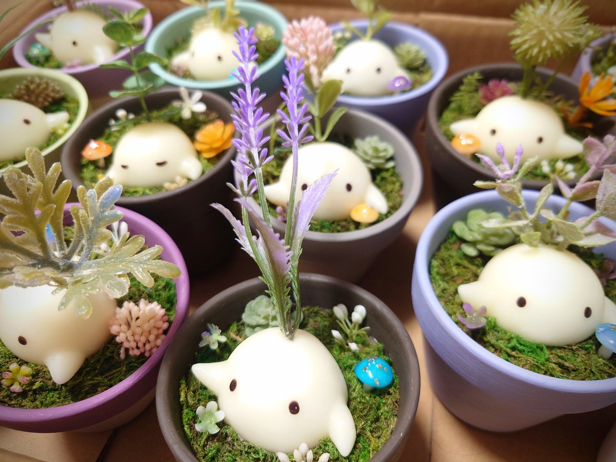 出荷準備！！！ ＼🌻／＼🌿／＼🪻／＼🍀／＼🌼／✨ #デザフェス63