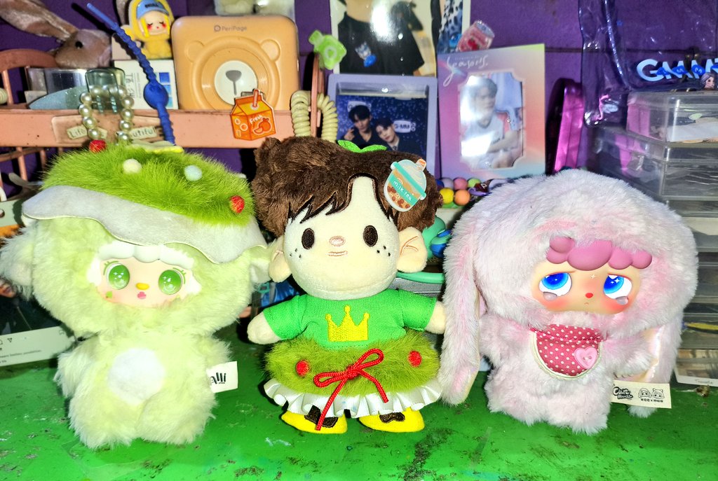 clover 🍀 🐻 🐶 🍀 tweet media