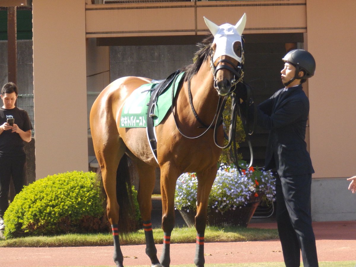 今日は弟を空港まで送る兄の車に同乗して新潟競馬場まで連れて行って