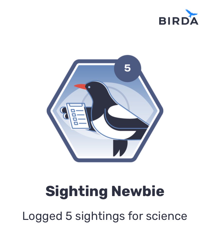 WmKiesel's tweet photo. I've won the Sighting Newbie badge on Birda! https://t.co/ezzIMGG8bO