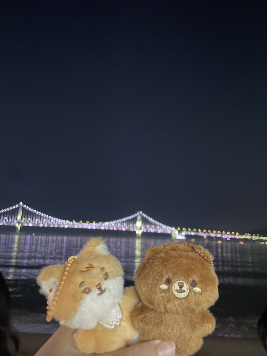 에그 tweet media