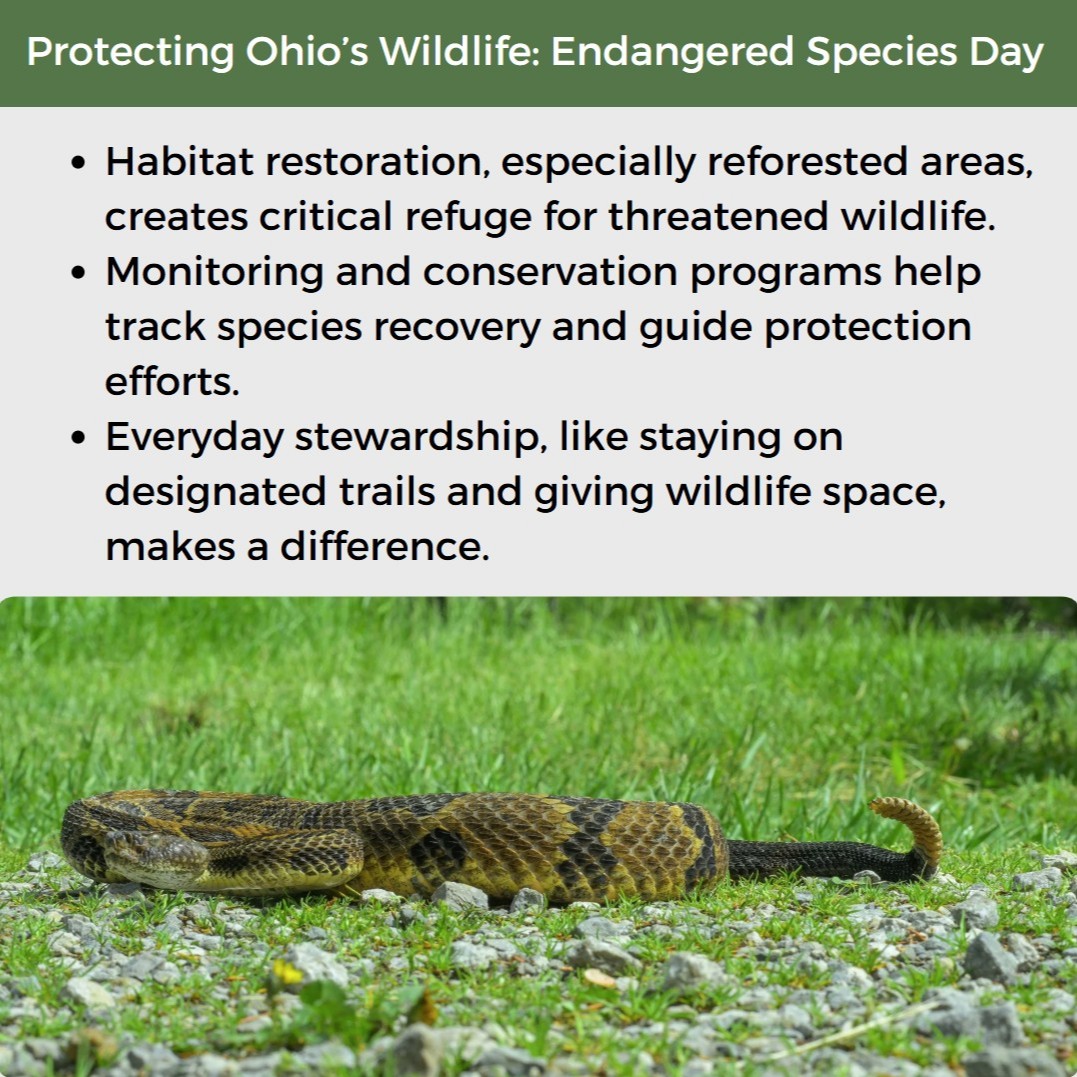 Ohio State Parks & Watercraft tweet media