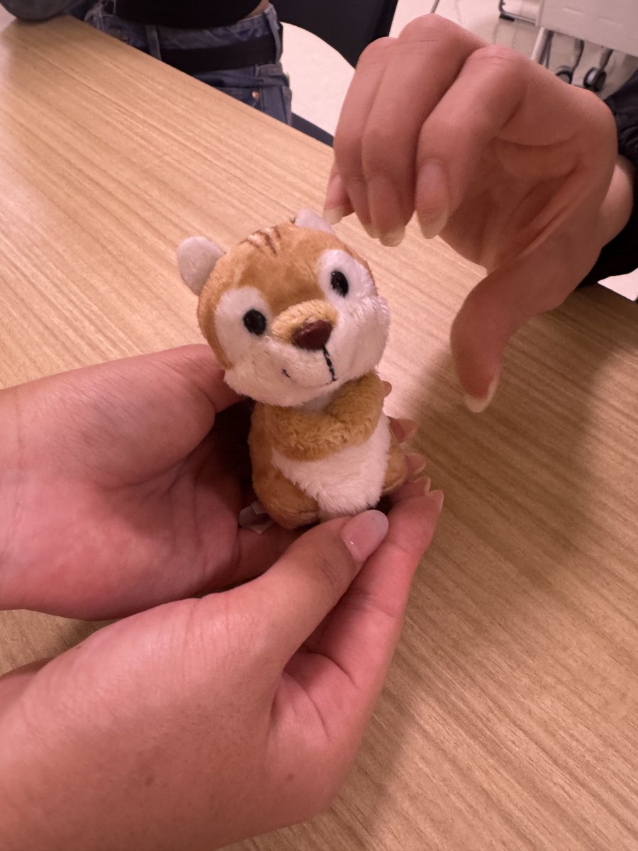 りたちゃん🐿️💛 tweet media