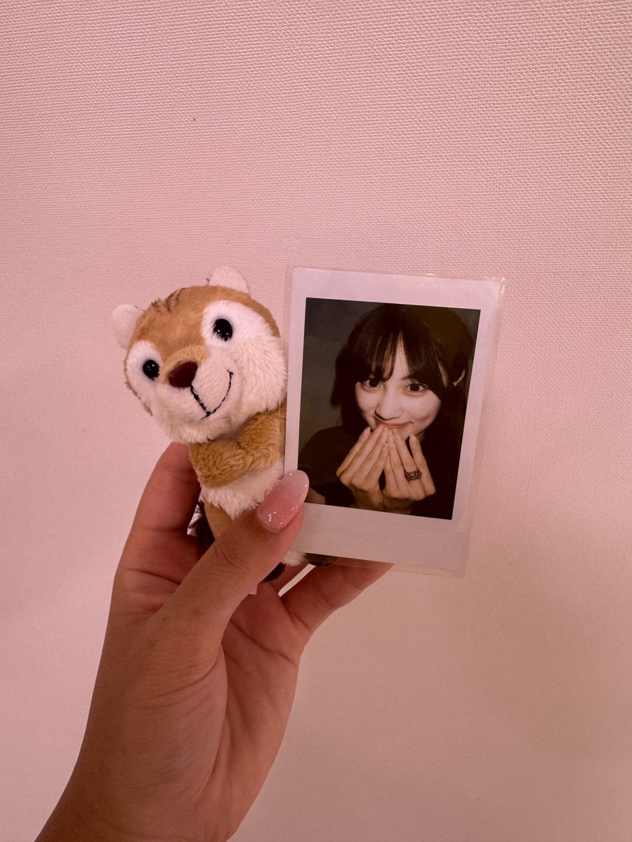 りたちゃん🐿️💛 tweet media