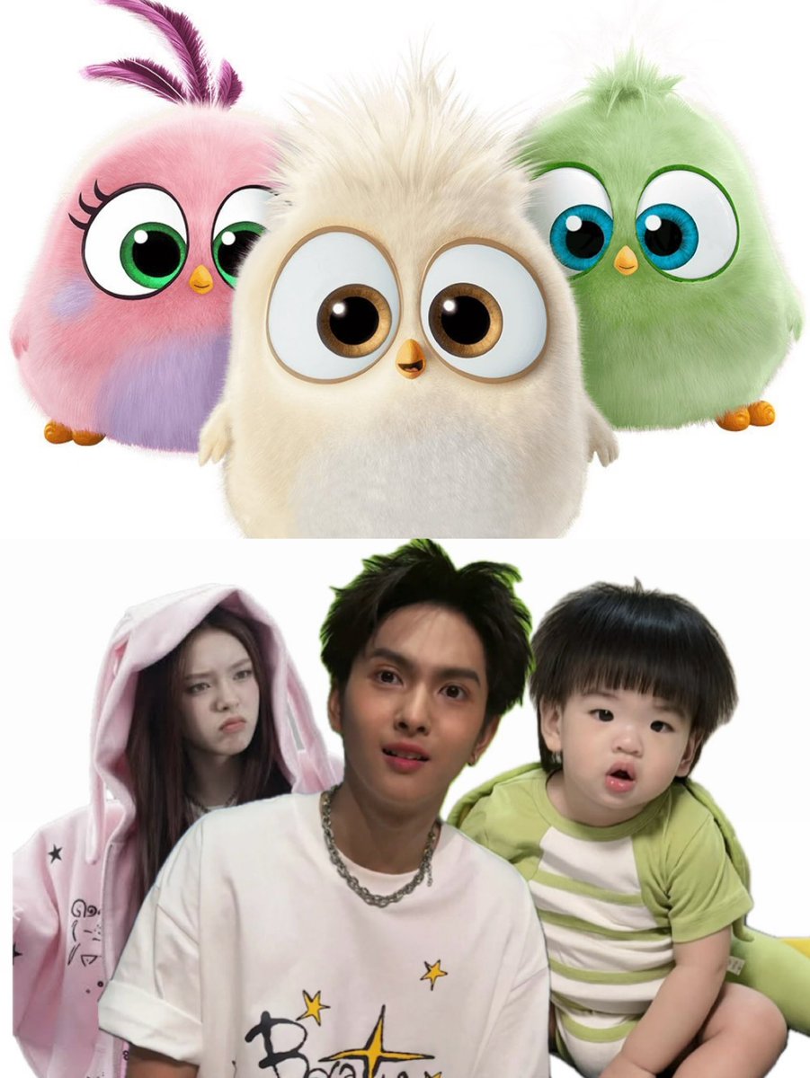 ออออล์🐈🧸 tweet media