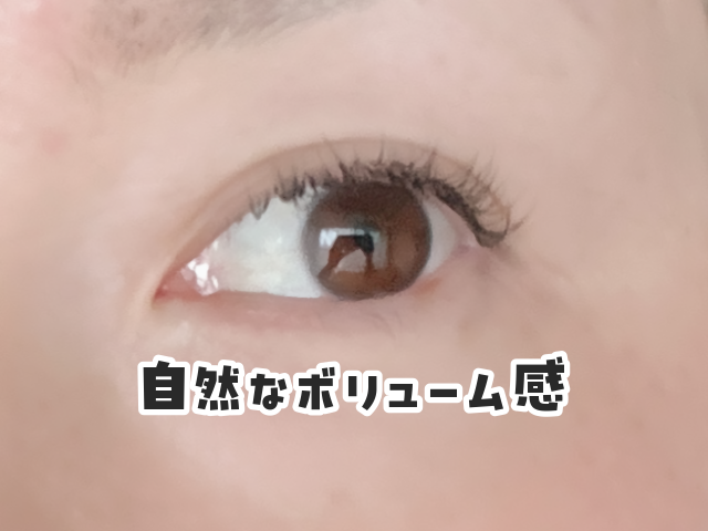 haruharu (@haruharu_chp) / Posts / X