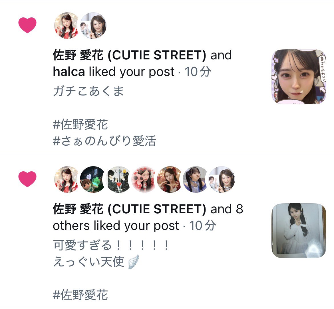 blacktree/あつP tweet media