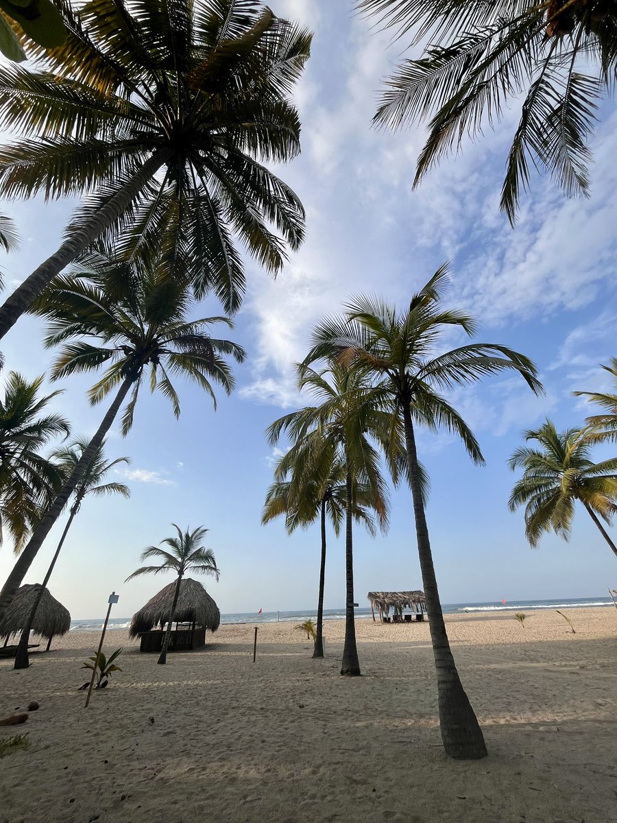 HeidyAcu's tweet photo. Días de 🏖️☀️🌊 https://t.co/X3icIJ4qys