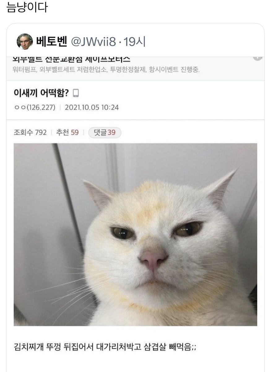 외유 tweet media