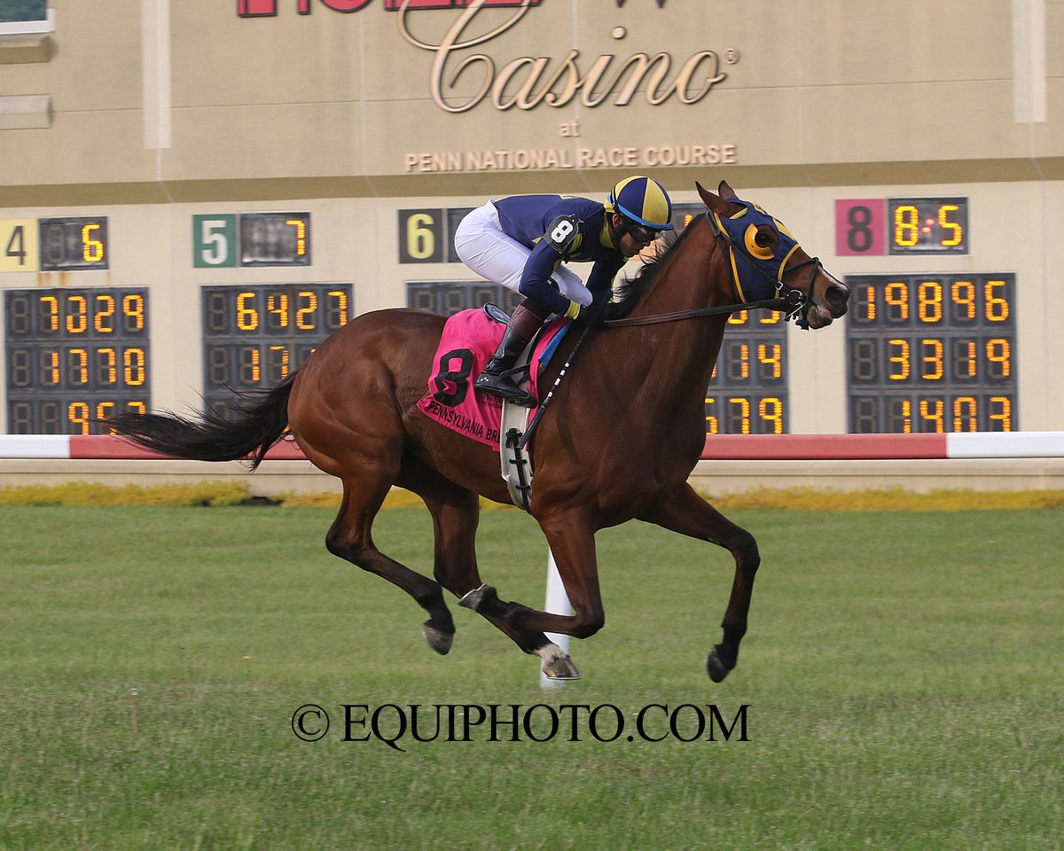 PA_HBPA's tweet photo. Friday's 3rd race at @HollywoodPenn, a $41,000 @PA_PHBA allowance event, went to Classic Nofty, owned &amp; bred by @HnRRacingLLC. @SchoenthalRace was the winning trainer, and @ACruzz01 was the winning rider.
📸: Equi-Photo https://t.co/AZggGw7Rrr