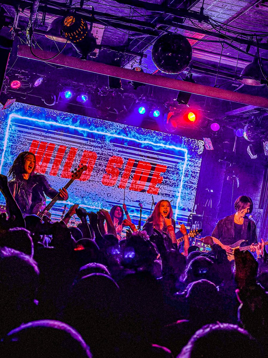 THE・ステレオギャング/ THE STEREOGANG tweet media