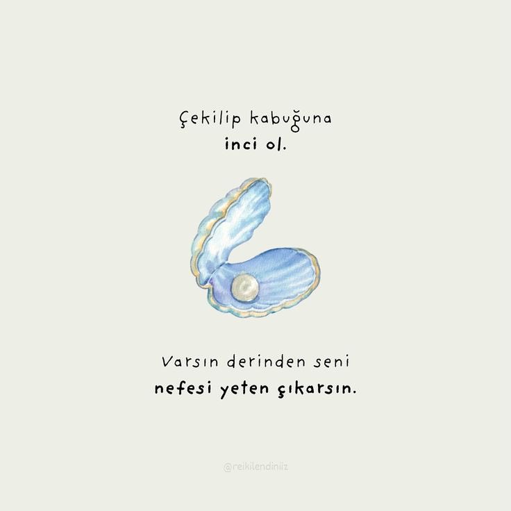 saraxfal's tweet photo. https://t.co/QYOHzkjOFT