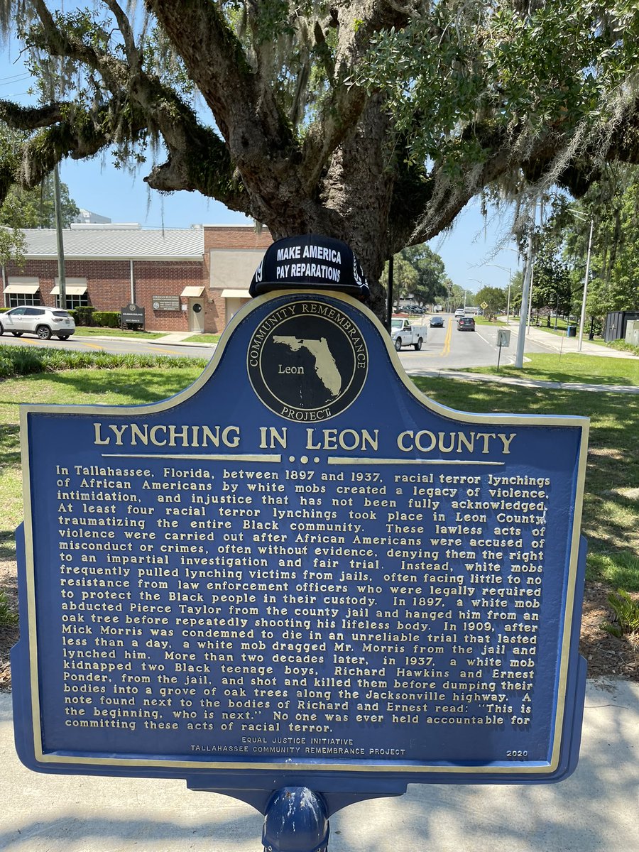 Reparations_NRL's tweet photo. Florida owes reparations and WILL pay sooner than later! If you are from Florida and want to be the NRL, say “me”! 
Have you ever seen a hanging tree before!? This is enough evidence alone to get reparations! #ReparationsSummer https://t.co/f7BeyBpB3d