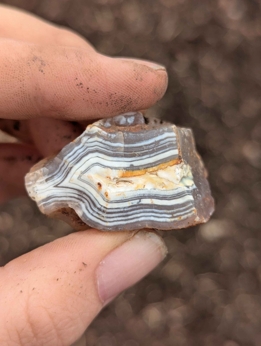 Sashaooting's tweet photo. Today’s two pretty Agates I found on my 3-hour rock hunt 💚💚 https://t.co/xMyiXddml4