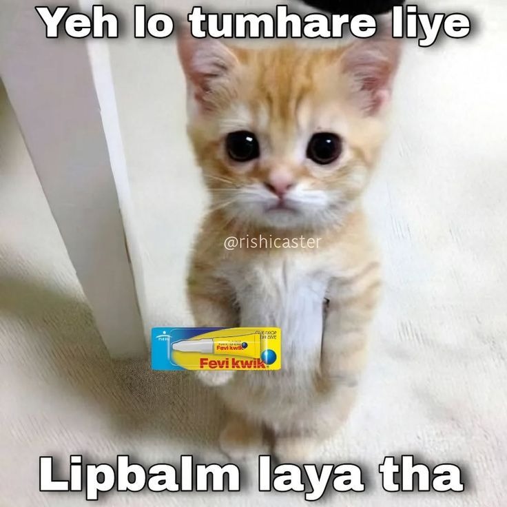 Alphonso tweet media
