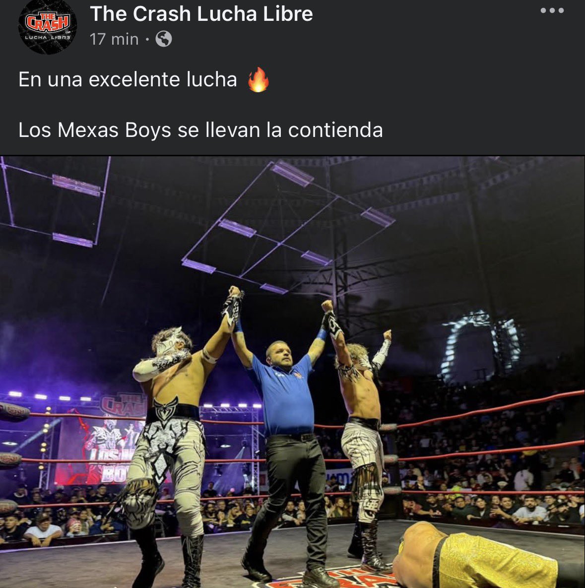 SpiderFly Luchador tweet media