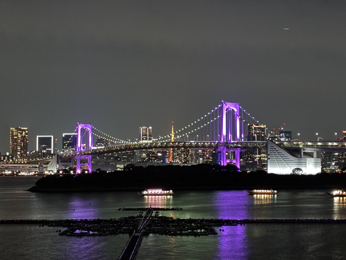 HAEJ_info's tweet photo. 去年に引き続き、東京ではレインボーブリッジとお台場の自由の女神もパープルです!
HAEJ医師の先生も現地へ行って写真を撮ってくださり…嬉しい限りです💜
#HAEDAY #active4hae #HAEとつながろう #HAEJ #HAE #遺伝性血管性浮腫 #パープルライトアップ https://t.co/UonLmdQ6xu