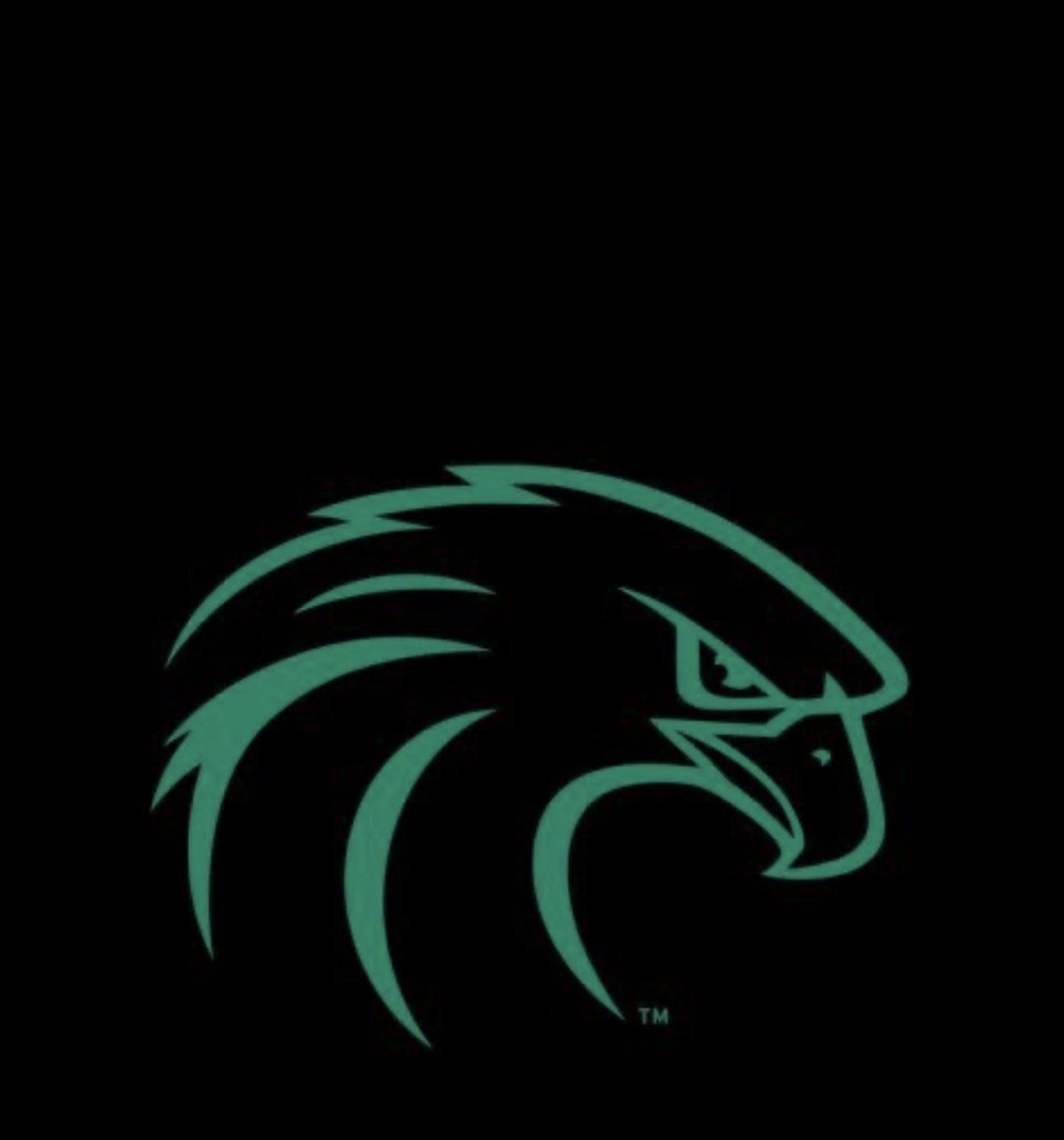 NsuWrestling's tweet photo. NSU Men's wrestling will be posting 26-27 schedule dates one at a time over the next couple weeks. Let's start by hosting back-to-back National Champions @loperwrestling at NSU on Jan 29th at 6PM.  Can't be the best unless you compete with the best. Ladies will post right after! https://t.co/WkSQgGP7h6