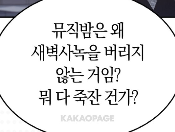 ✨️뇽 tweet media