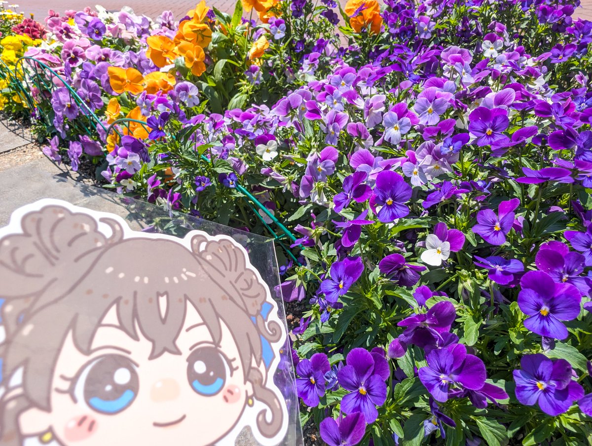 月兎耳アキ tweet media