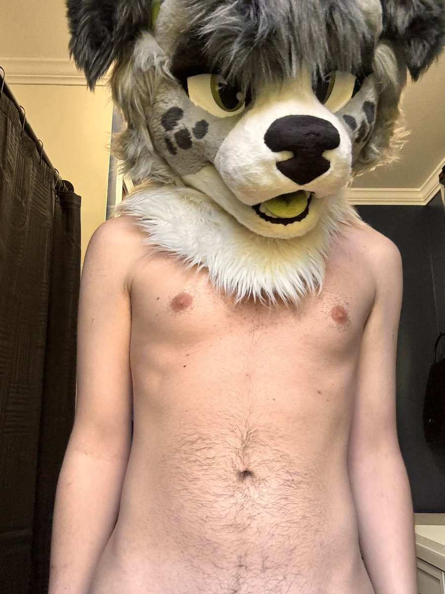 Charpuppy ⭐️ 🔜 AC, MP tweet media