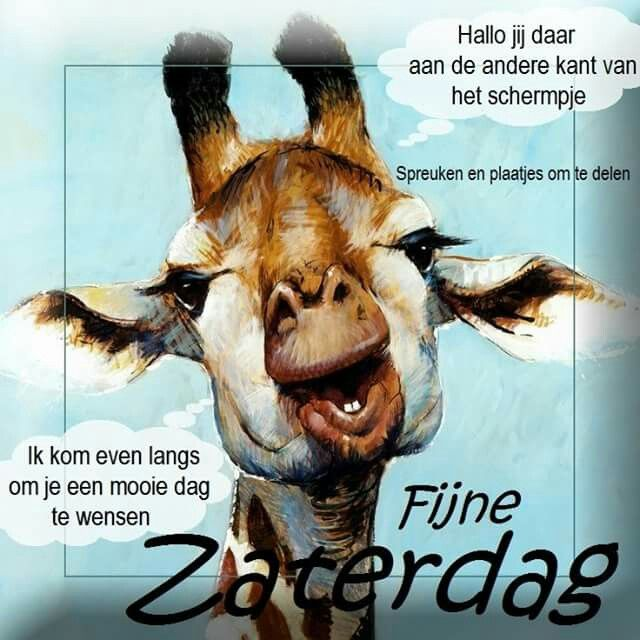 Joop Van Der Heide tweet media