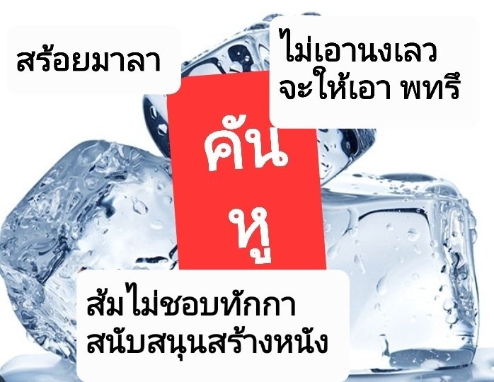 Ronayoss Paoolam tweet media