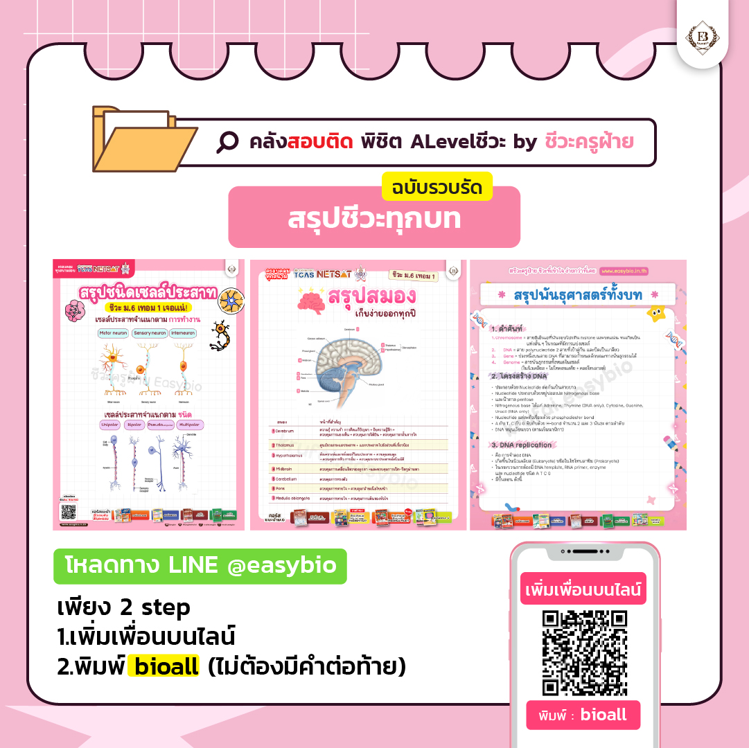 ชีวะครูฝ้าย🧠🌟#dek70 tweet media