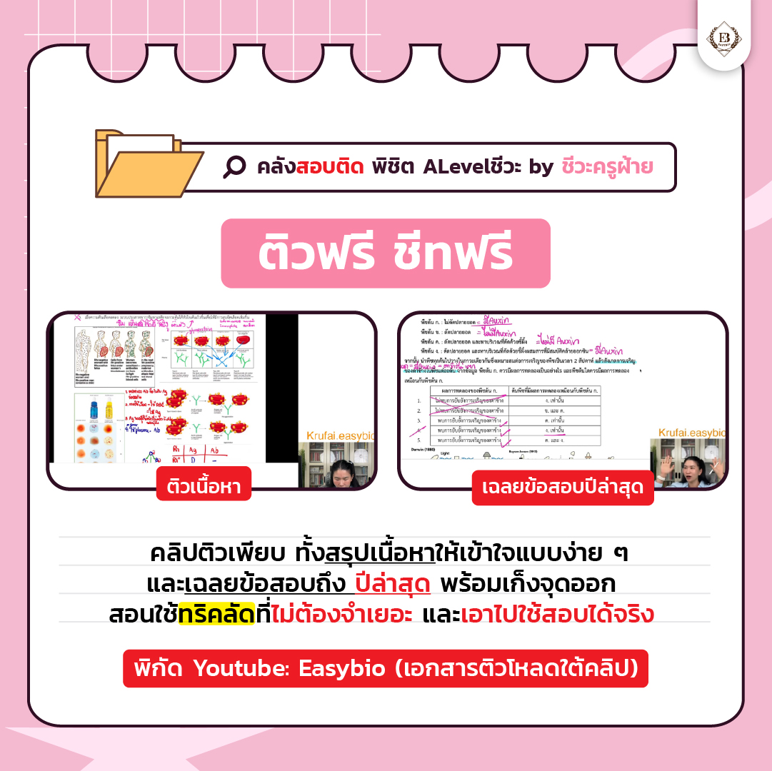 ชีวะครูฝ้าย🧠🌟#dek70 tweet media