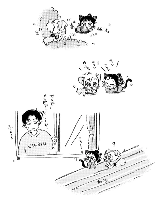 しおえ家のちみねこ仙ちゃん 