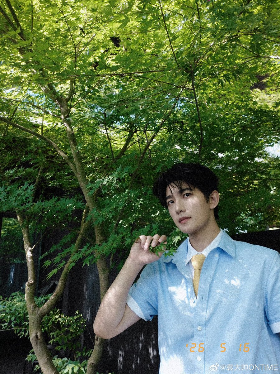 YANG YANG 杨洋 tweet media
