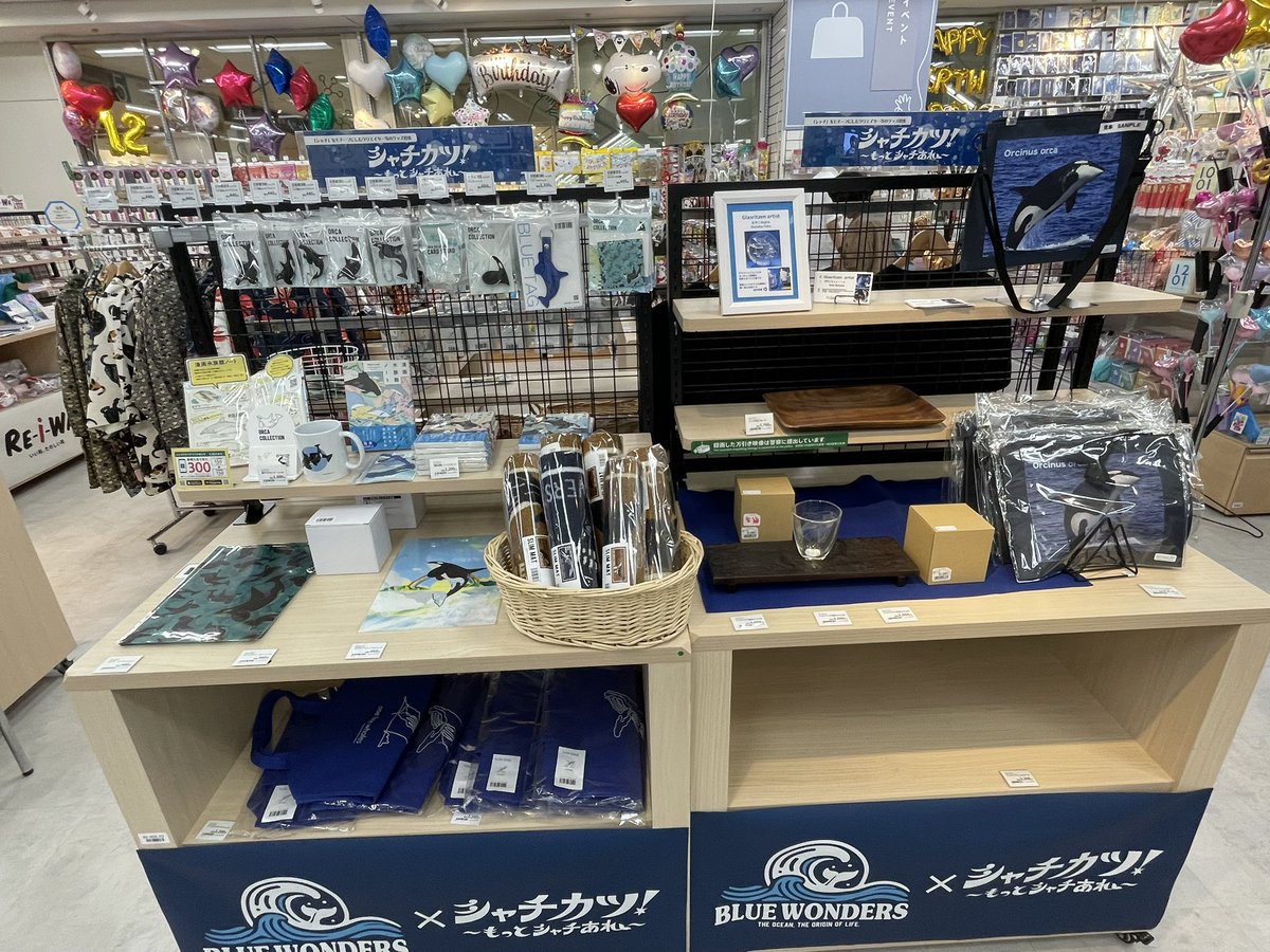 PuffeRE_open's tweet photo. シャチ鯨ポップアップ行けてよかった〜

グッズそこまで多くはないけどかわいいのが多い！✨
おなじみの羅臼グッズが来ててよかった〜🙌

目当てのオルカカードスティッカー買えてうれしい！💖
オルカしおり🔖もかわいくて満足！✨

たのしかった！💕 https://t.co/DANSblbM8E