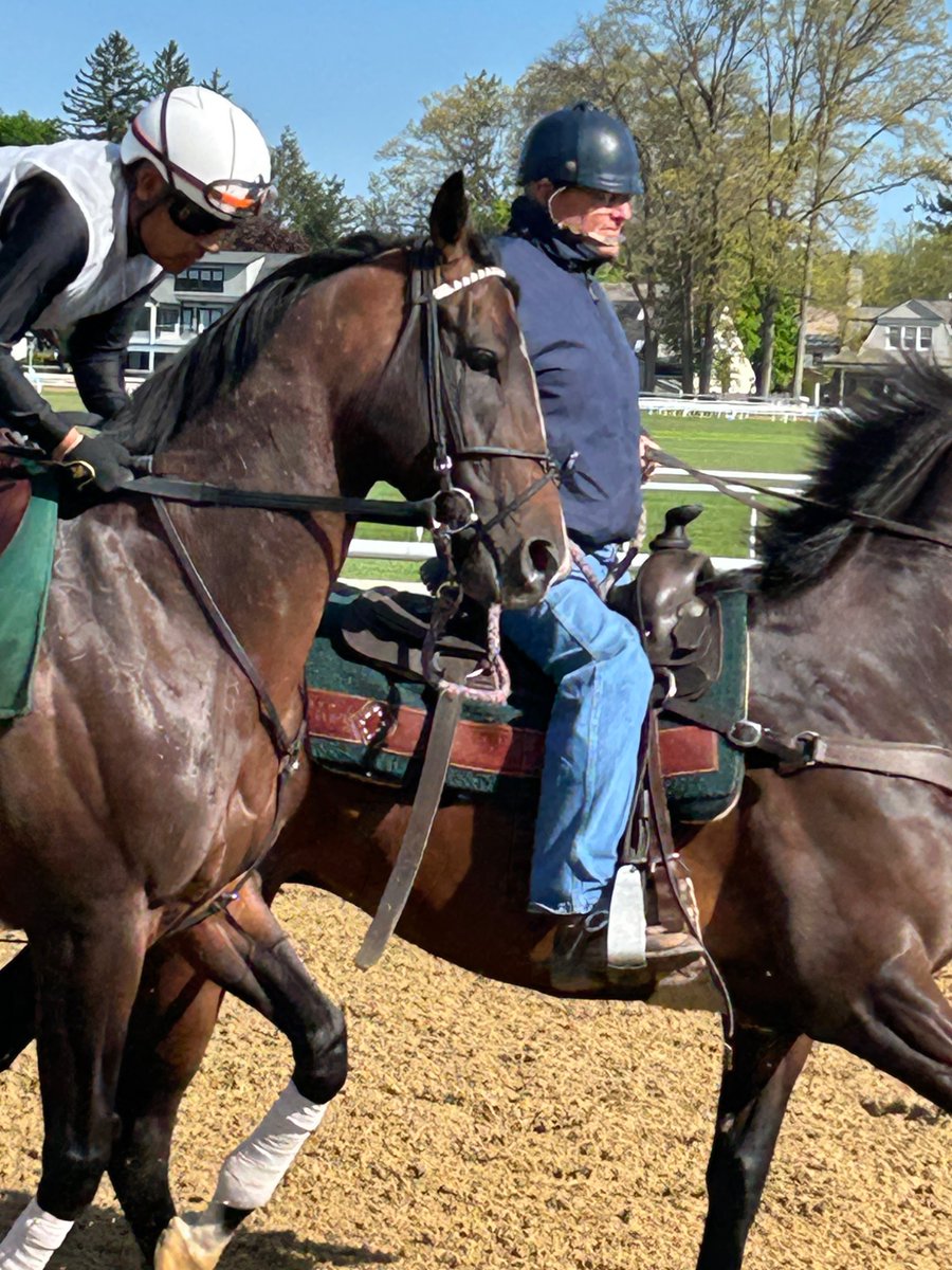 BarbaraFlynt's tweet photo. the handsome Sovereignty working the morning with Bill Mott!! https://t.co/XYexrRuRua