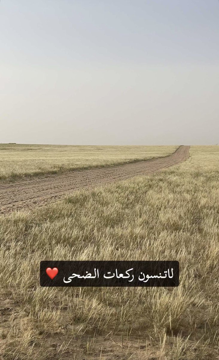 سطام الحميداني tweet media