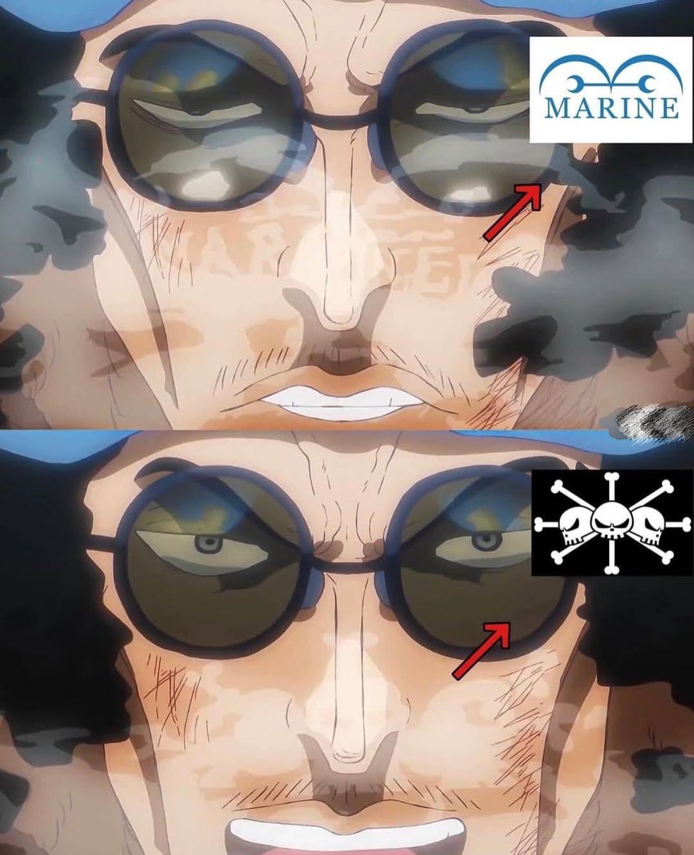 One Piece Daily tweet media