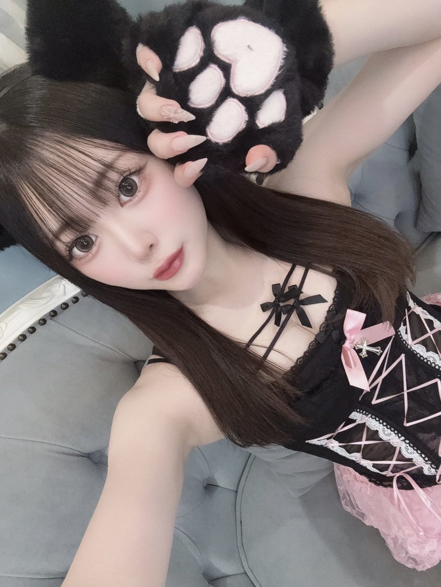 にゃーん🐈‍⬛🎀