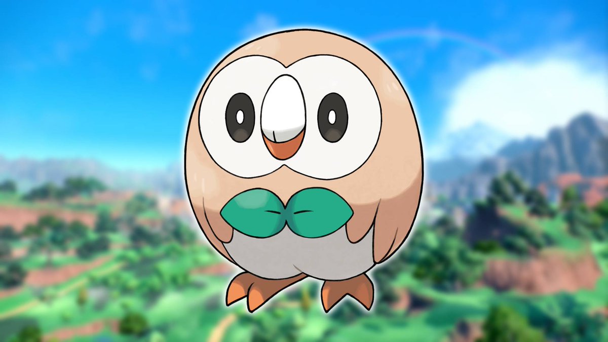 Owl tweet media