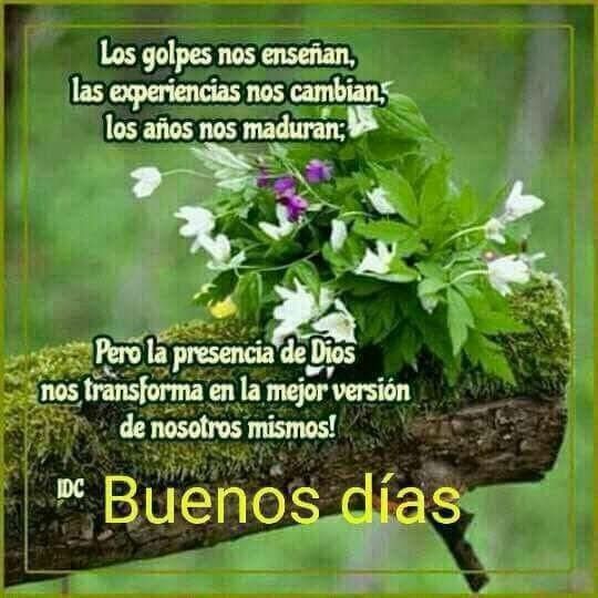 Carolina de Cabrera🥰#swappedcom tweet media