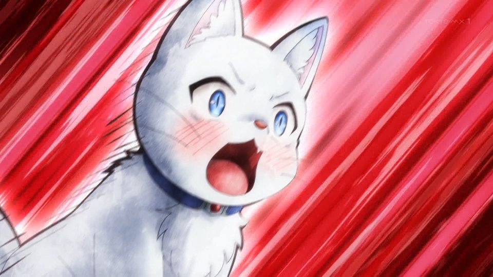 わかったにゃ～～～～～～～～～～～～～～ (特に意味のない迫真