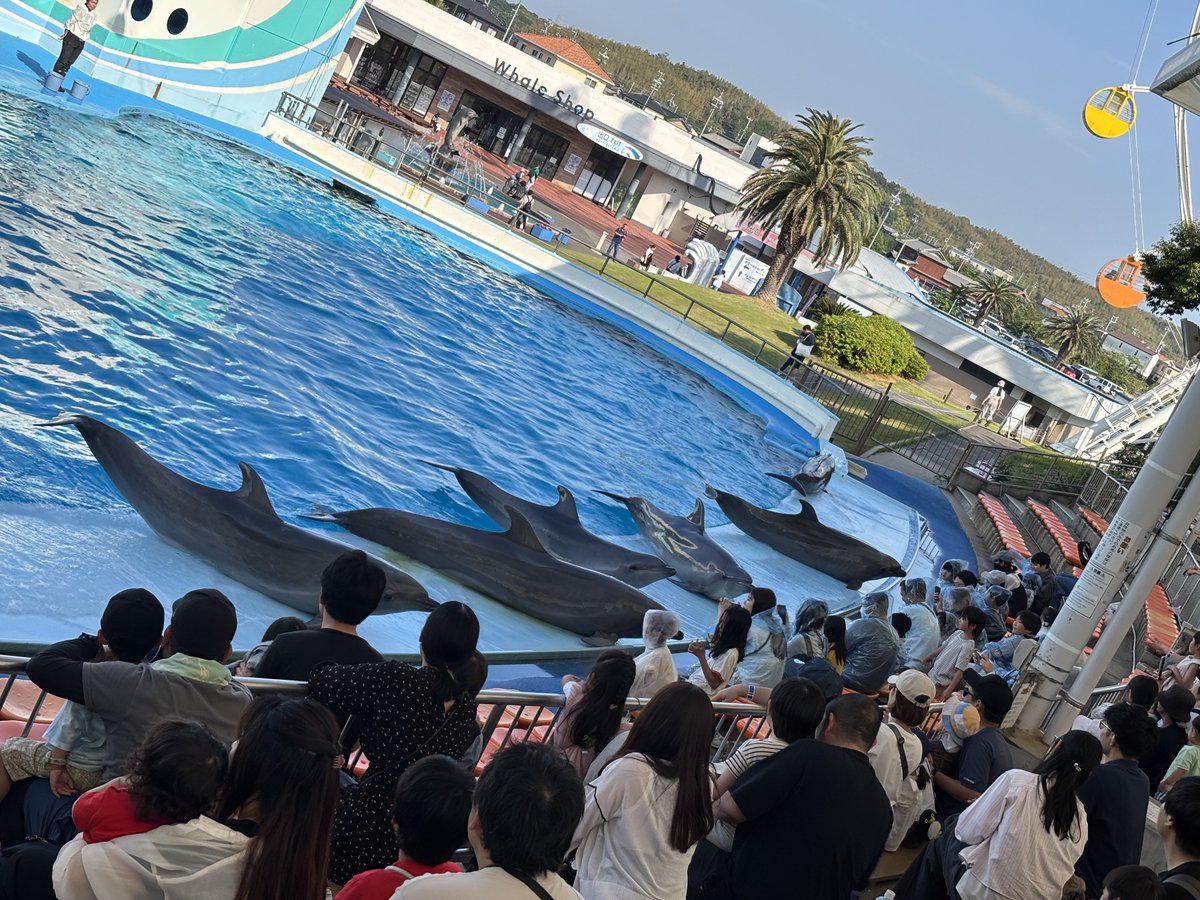 かげろう　kageroh519 tweet media